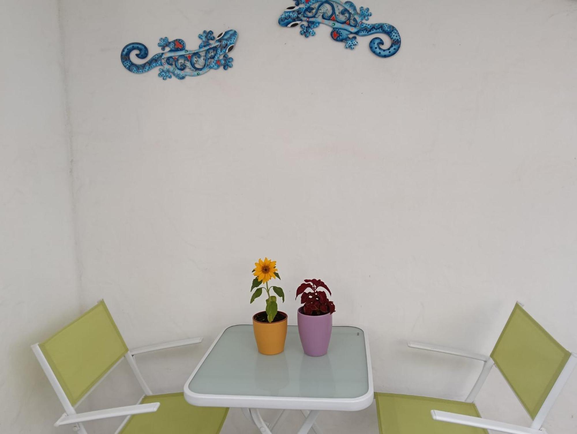 Appartamento Las Palmas Tarajalejo Extérieur photo